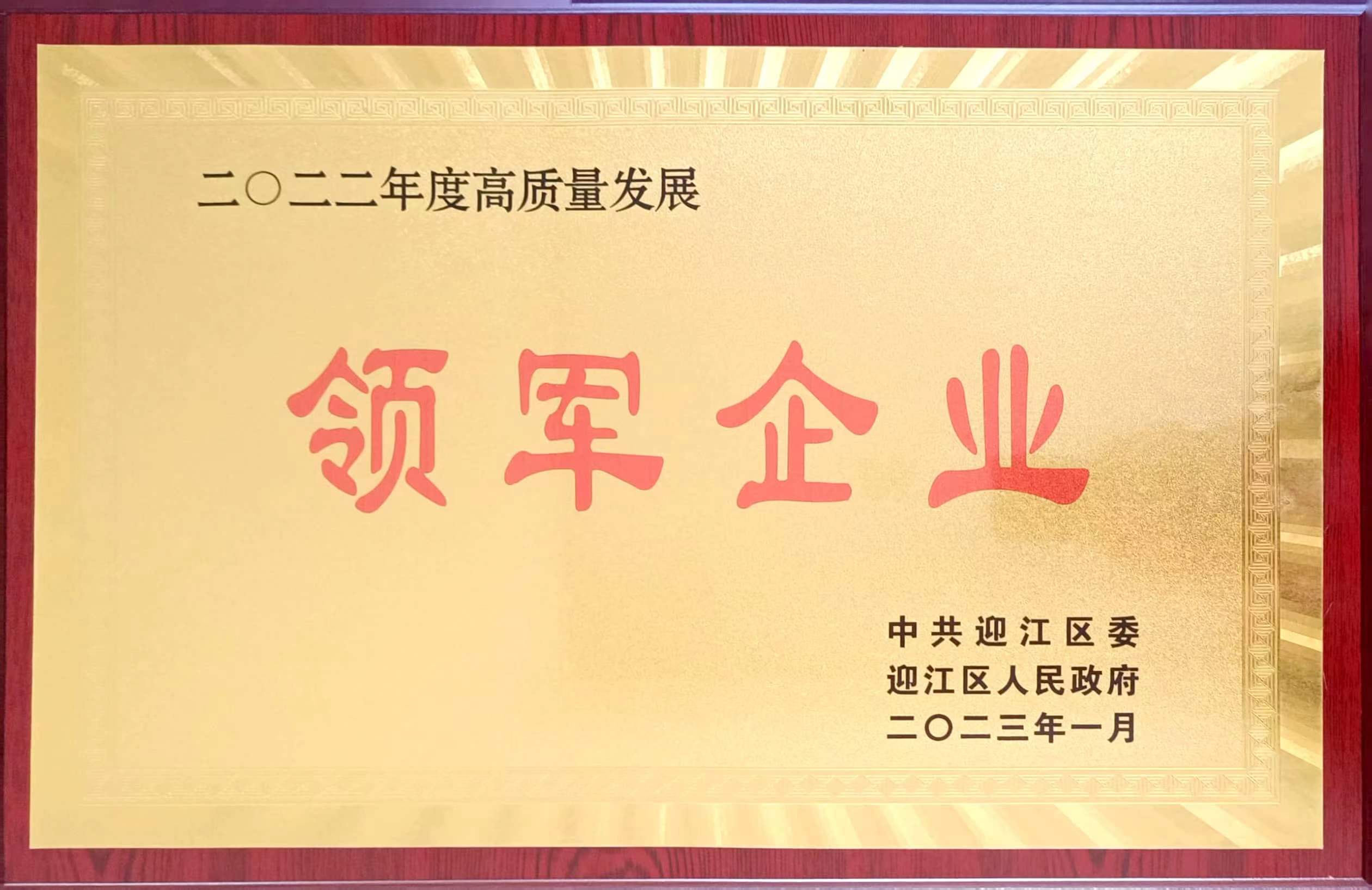 公司在2023年迎江區(qū)高質(zhì)量發(fā)展大會(huì)上被通報(bào)表揚(yáng)